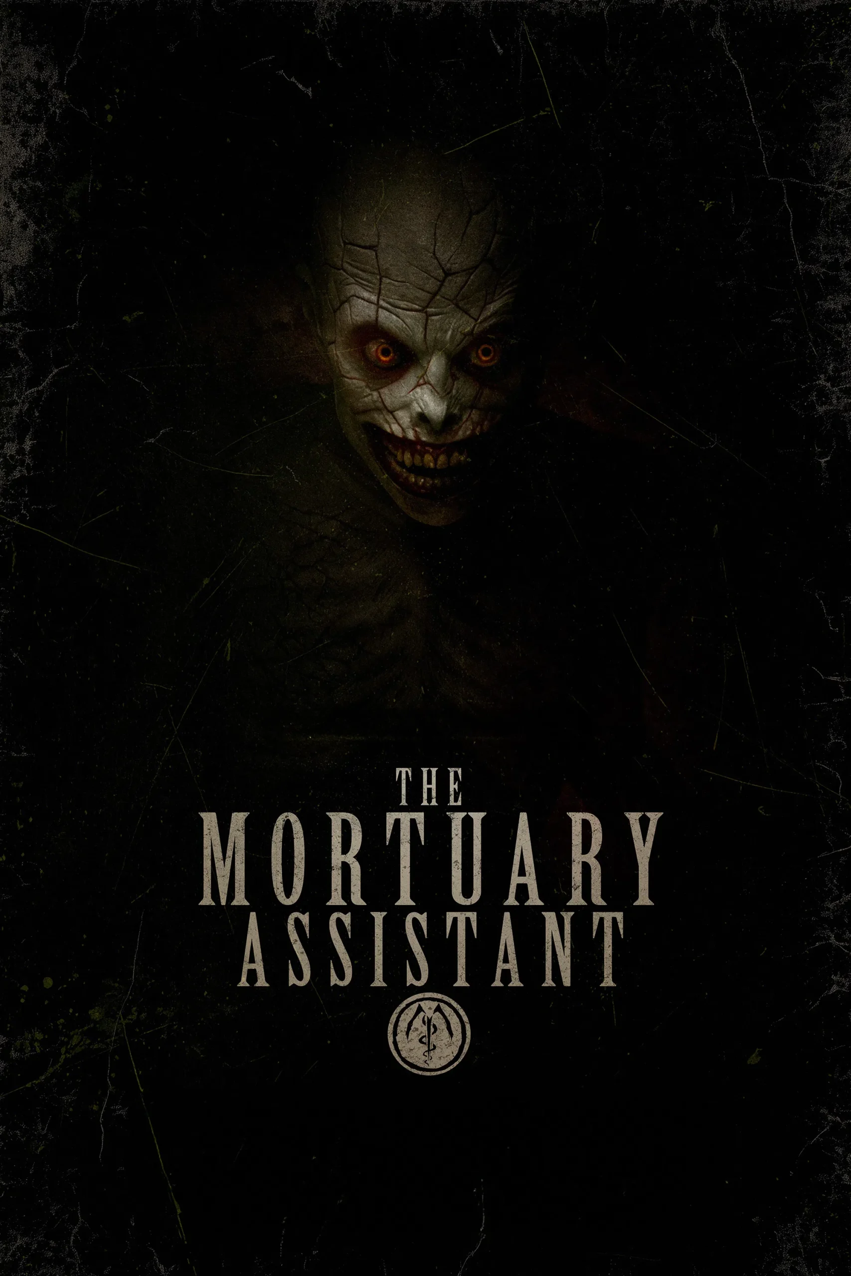 مشاهدة فيلم The Mortuary Assistant