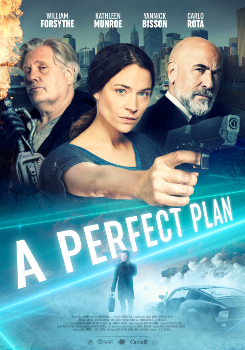 مشاهدة فيلم A Perfect Plan
