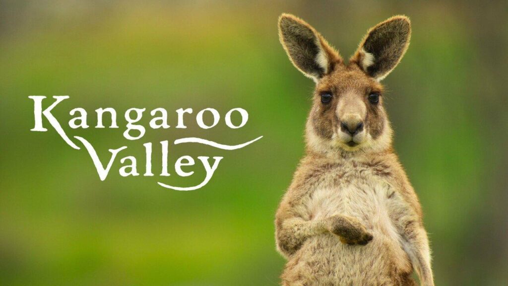 مشاهدة فيلم Kangaroo Valley 2022 مترجم كامل HD