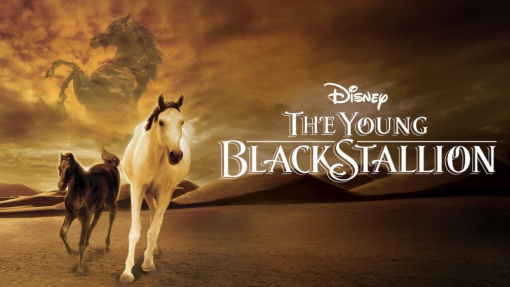 مشاهدة فيلم The Young Black Stallion 2003 مترجم