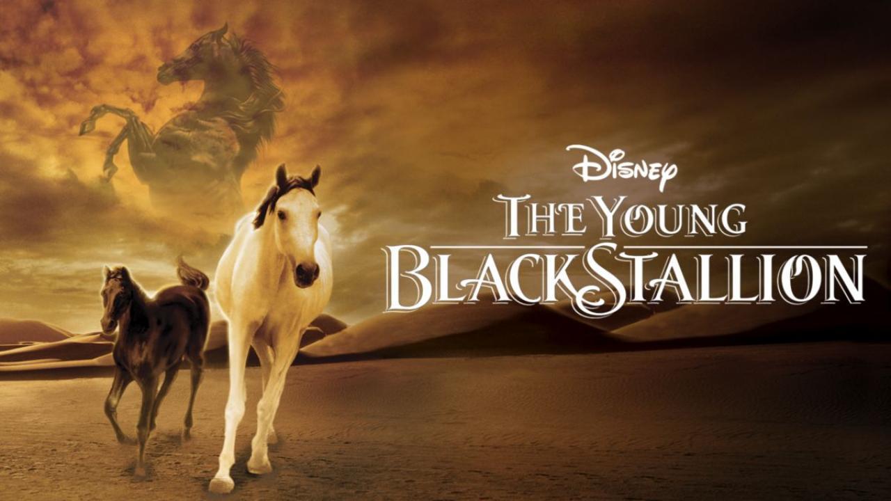 مشاهدة فيلم The Young Black Stallion 2003 مترجم