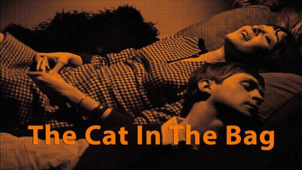 مشاهدة فيلم The Cat in the Bag 1964 مترجم كامل HD