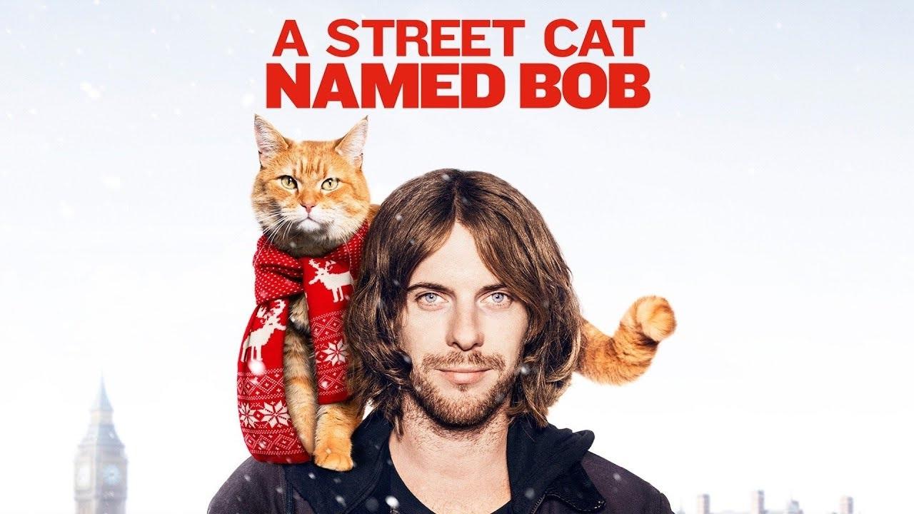 مشاهدة فيلم A Street Cat Named Bob 2016 مترجم