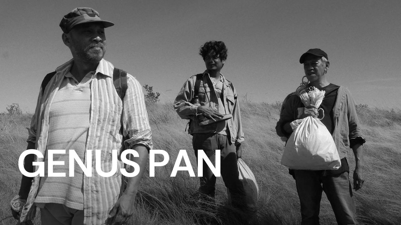 مشاهدة فيلم Genus Pan 2020 مترجم كامل HD