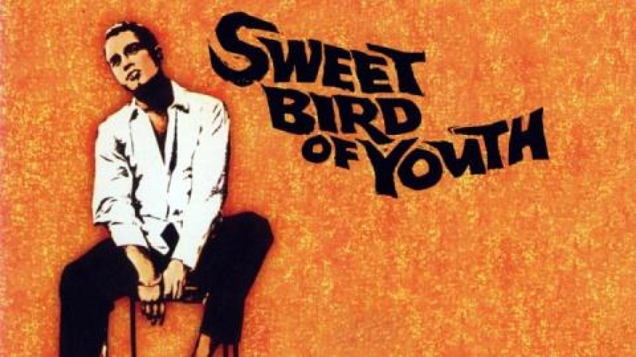 مشاهدة فيلم Sweet Bird of Youth 1962 مترجم كامل HD