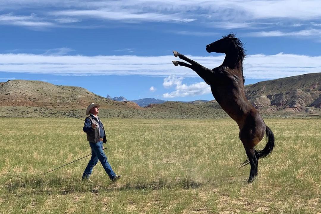 مشاهدة فيلم Heroes Were Cowboys 2021 مترجم