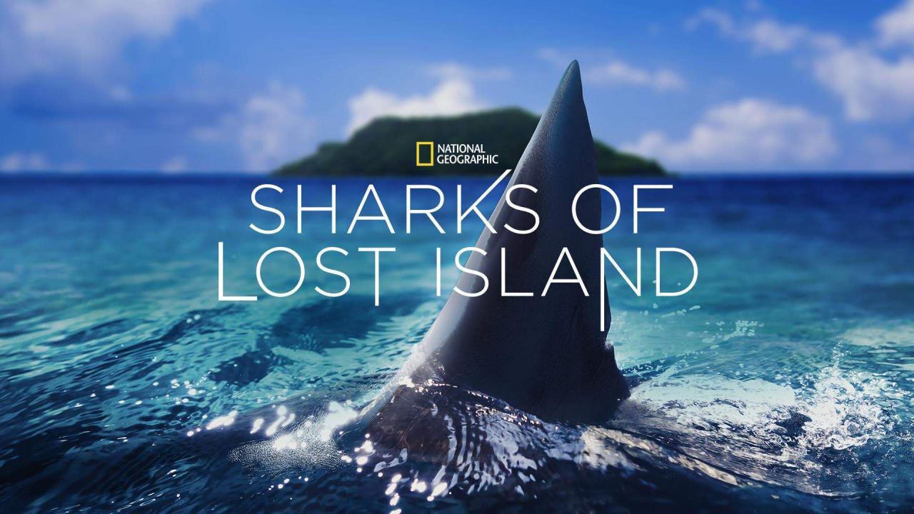 مشاهدة فيلم Sharks of Lost Island 2013 مترجم كامل HD