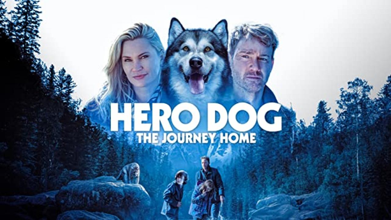 مشاهدة فيلم Hero Dog The Journey Home 2021 مترجم