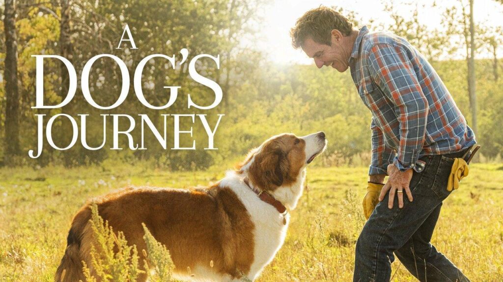 مشاهدة فيلم A Dog’s Journey 2019 مترجم كامل HD