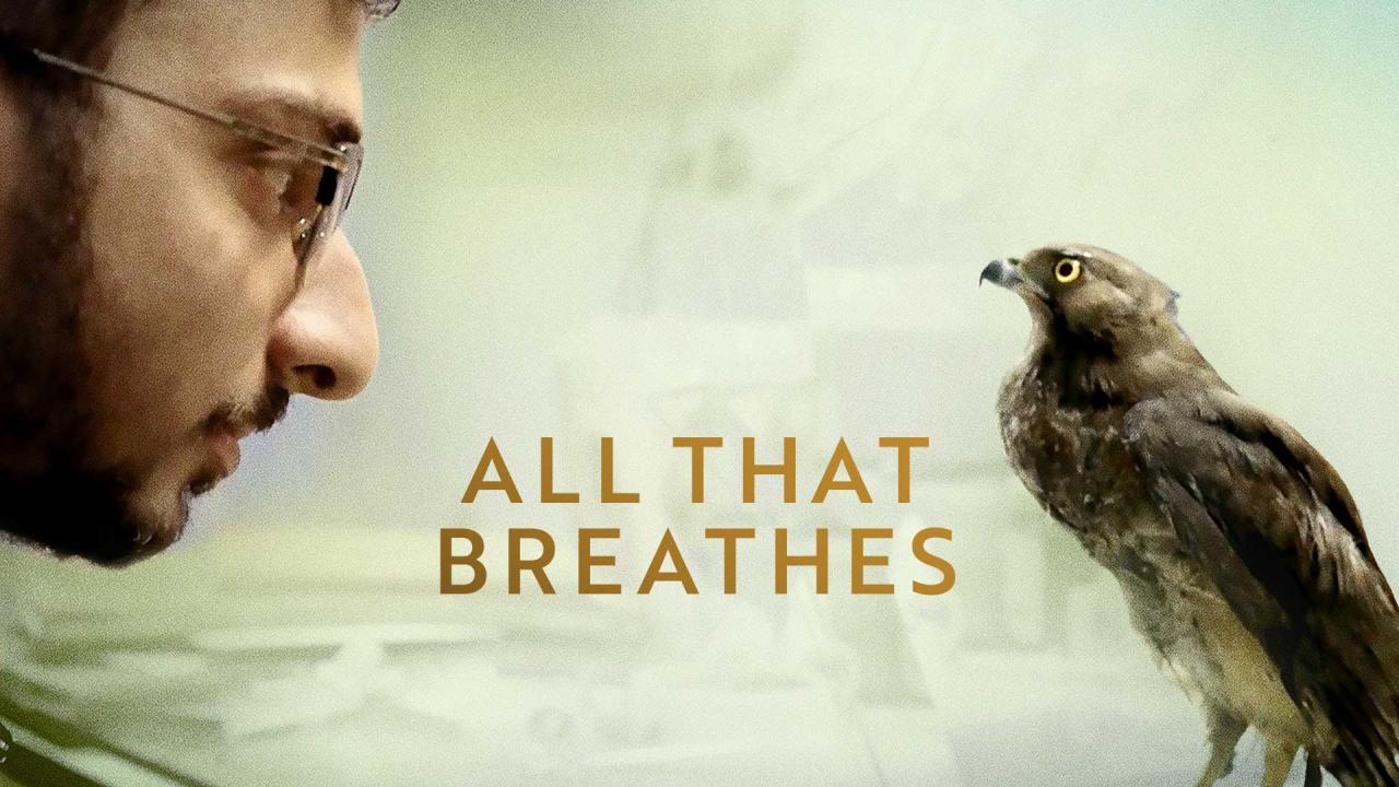 مشاهدة فيلم All That Breathes 2022 مترجم كامل HD