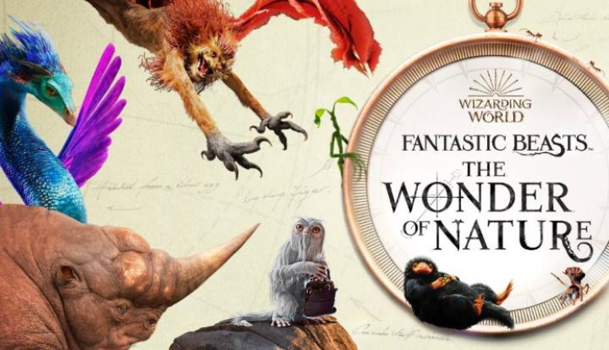 مشاهدة فيلم Fantastic Beasts A Natural History 2022 مترجم كامل HD
