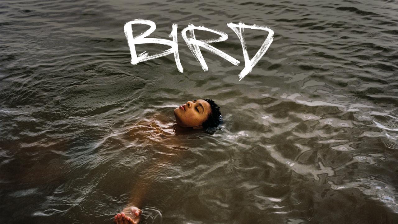 مشاهدة فيلم Bird 2024 مترجم كامل HD