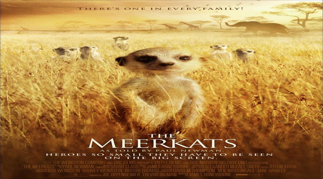 مشاهدة فيلم The Meerkats 2008 مترجم
