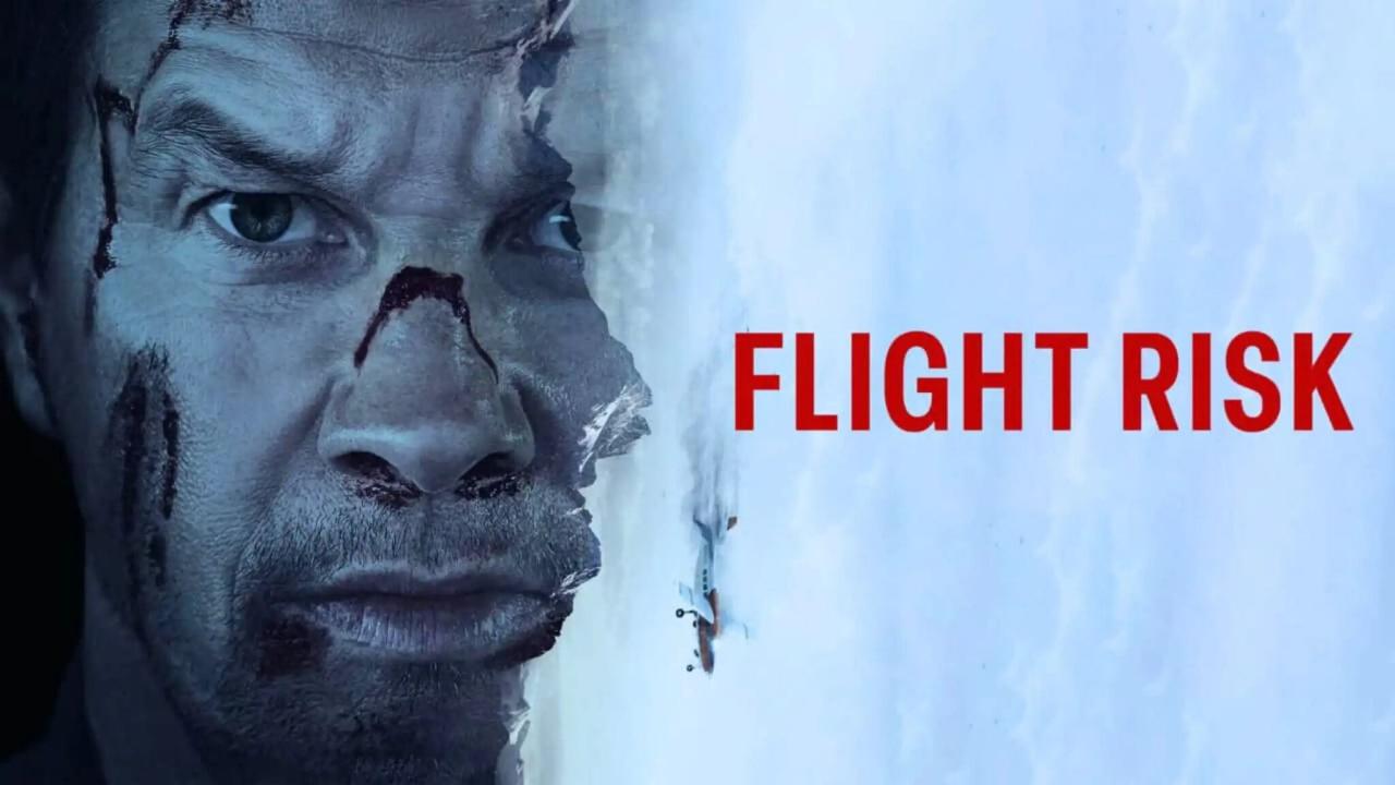 مشاهدة فيلم Flight Risk 2025 مترجم كامل HD