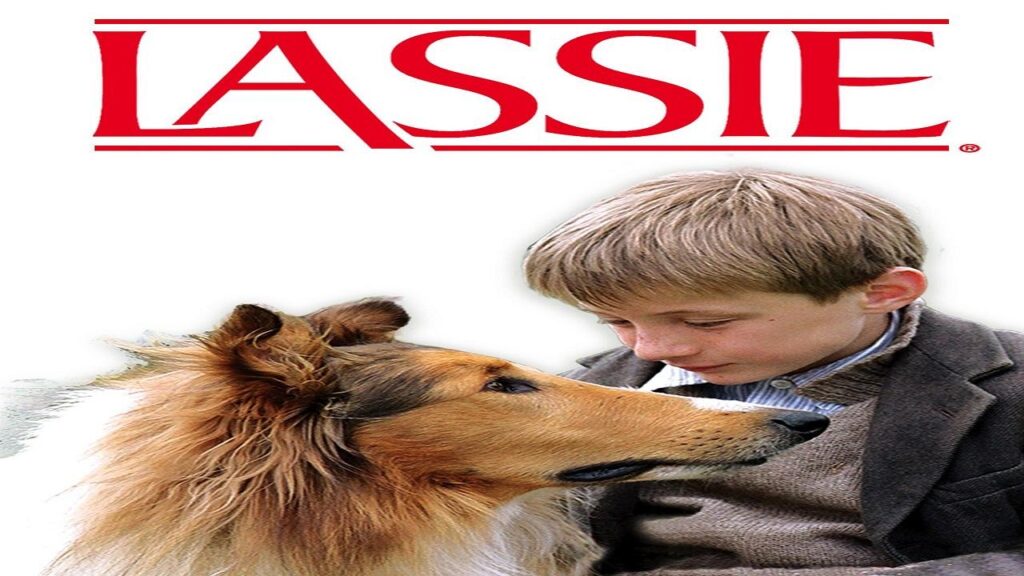 مشاهدة فيلم Lassie 2005 مترجم