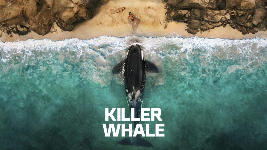 مشاهدة فيلم Killer Whale 2026 مترجم كامل بجودة عالية HD