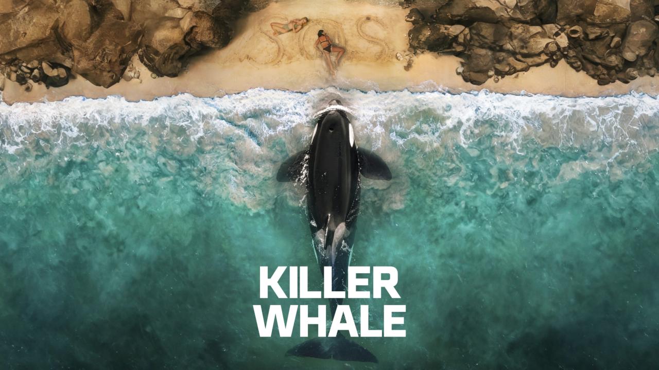 مشاهدة فيلم Killer Whale 2026 مترجم كامل بجودة عالية HD