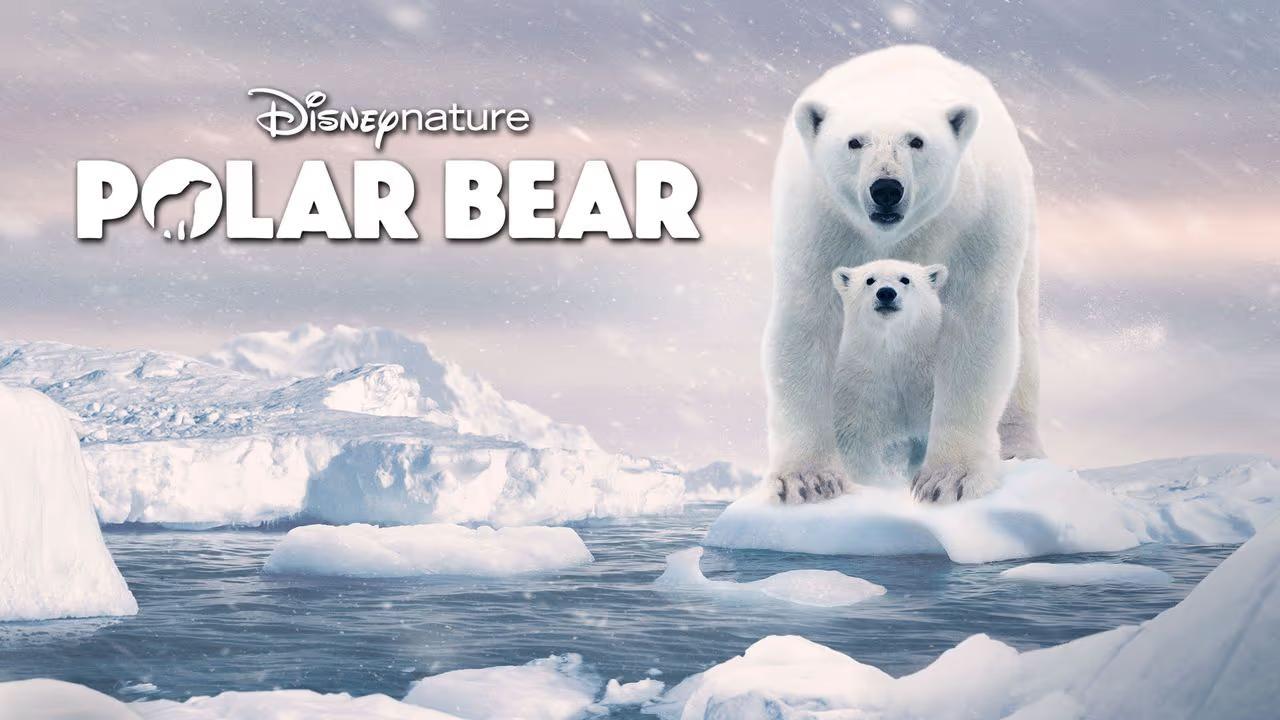 مشاهدة فيلم Polar Bear 2022 مترجم كامل HD