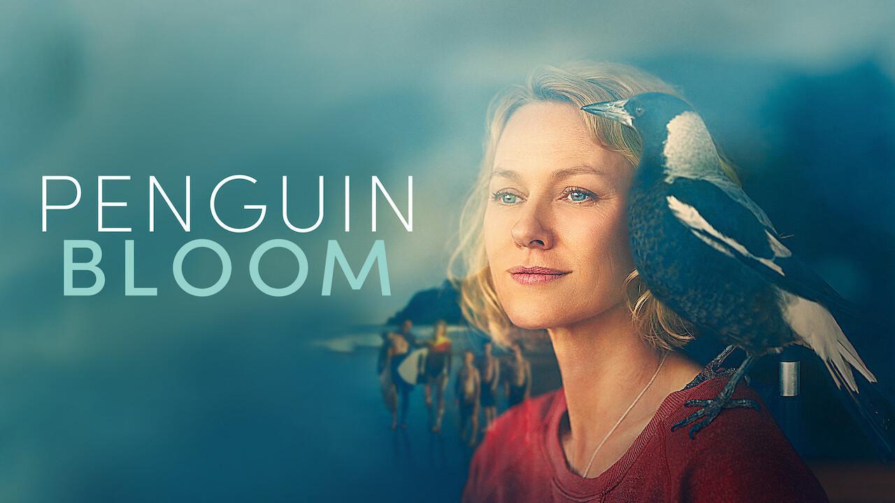 مشاهدة فيلم Penguin Bloom 2020 مترجم كامل HD