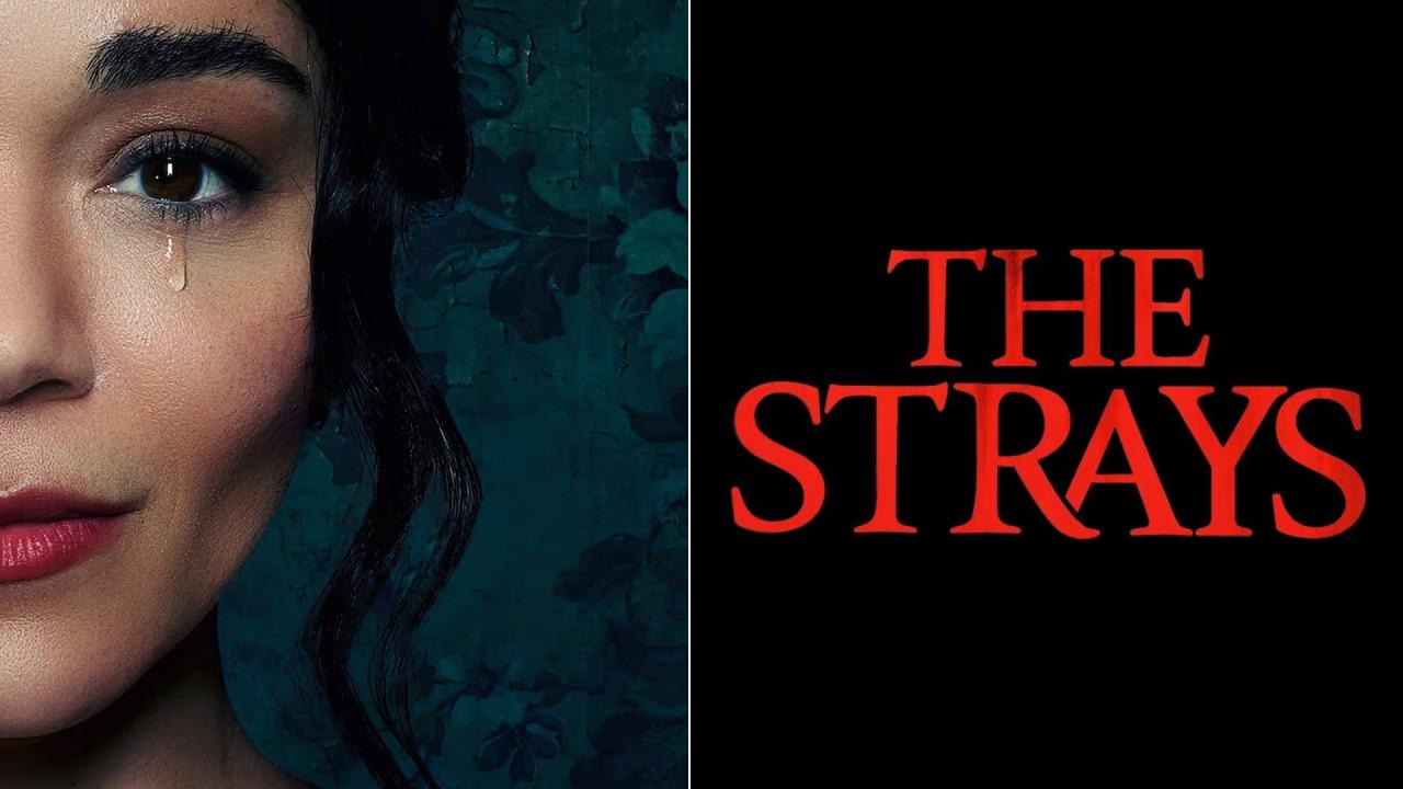 مشاهدة فيلم The Strays 2023 مترجم كامل HD