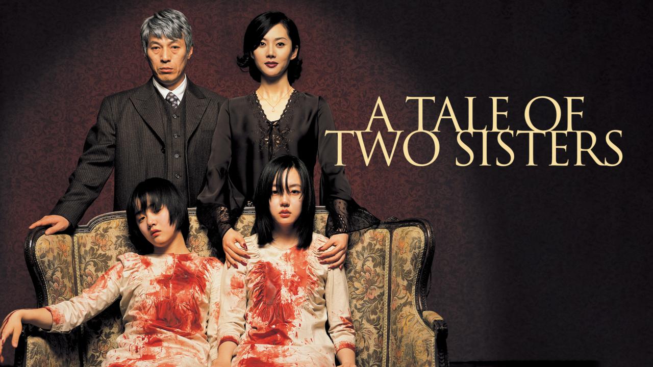 مشاهدة فيلم A Tale of Two Sisters 2003 مترجم
