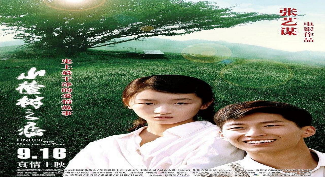 مشاهدة فيلم Under the Hawthorn Tree 2010 مترجم