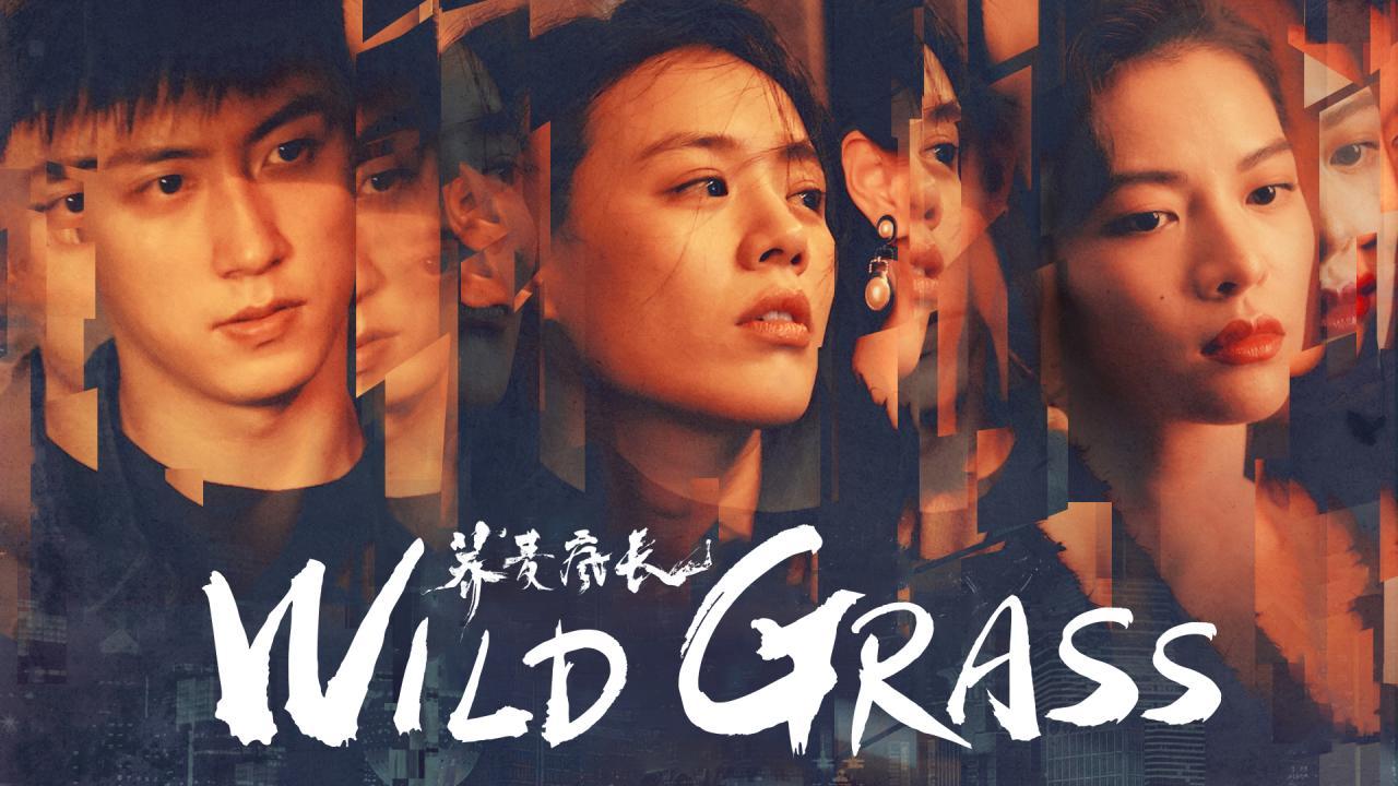 مشاهدة فيلم Wild Grass 2020 مترجم