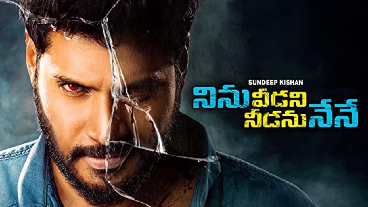 مشاهدة فيلم Ninu Veedani Needanu Nene 2019 مترجم