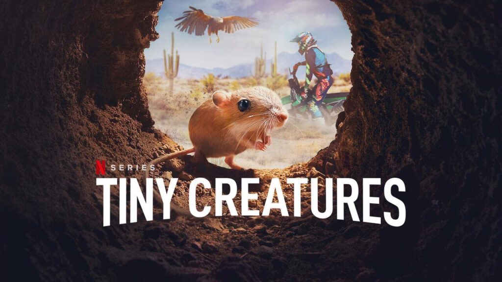 مشاهدة مسلسل Tiny Creatures الموسم الاول الحلقة 8 الثامنة والاخيرة مترجمة HD