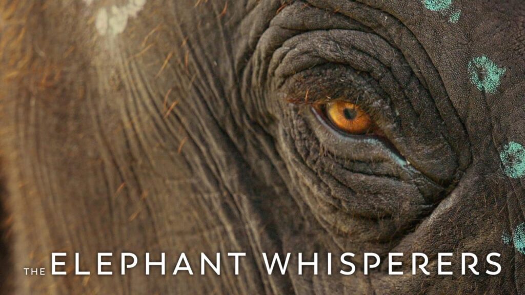 مشاهدة فيلم The Elephant Whisperers 2022 مترجم كامل HD