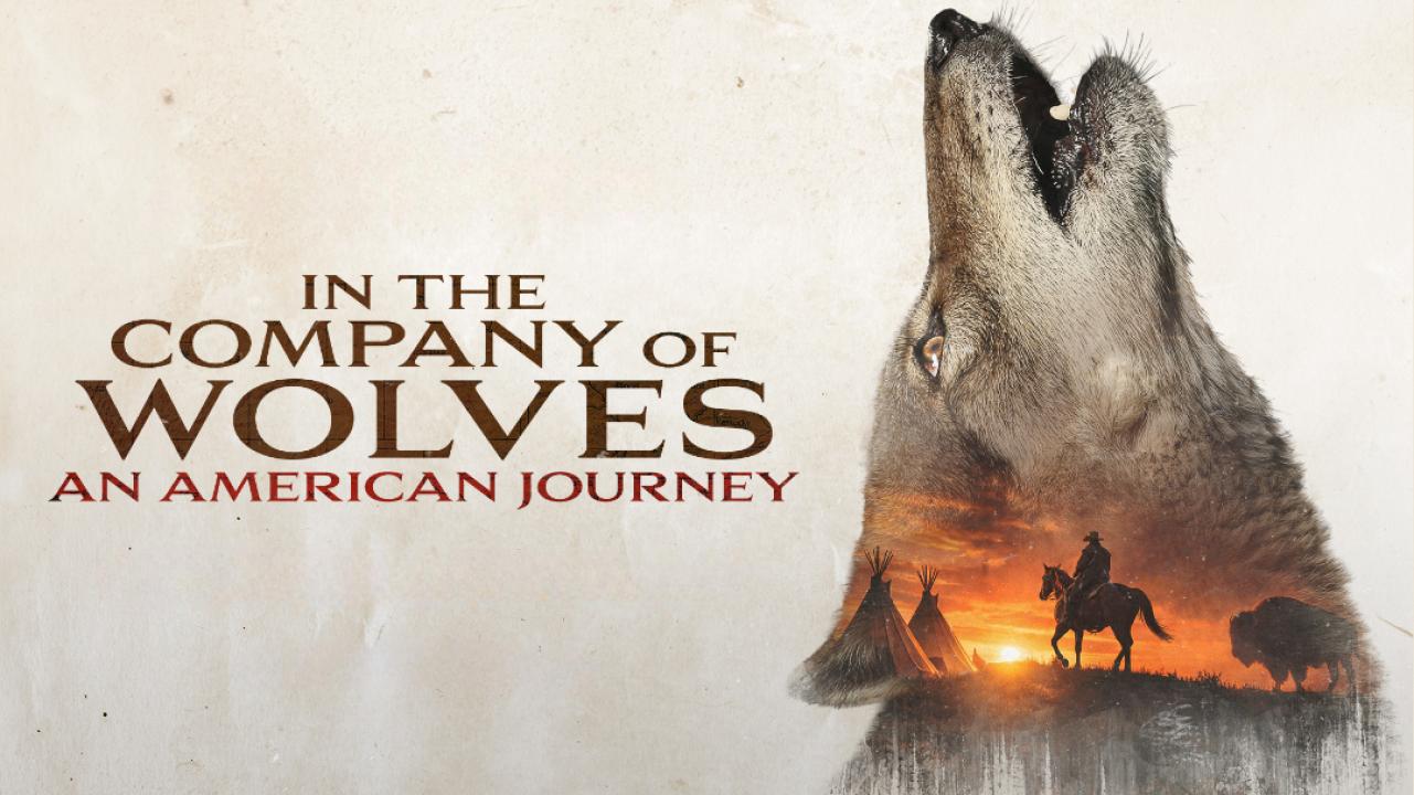 مشاهدة فيلم In The Company Of Wolves An American Journey 2026 مترجم كامل HD